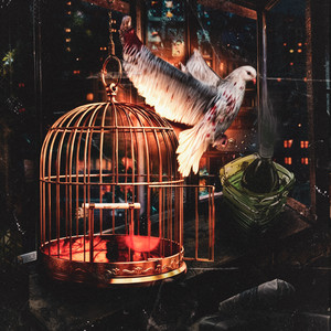 Code80 - Bird ft Молодой Калуга